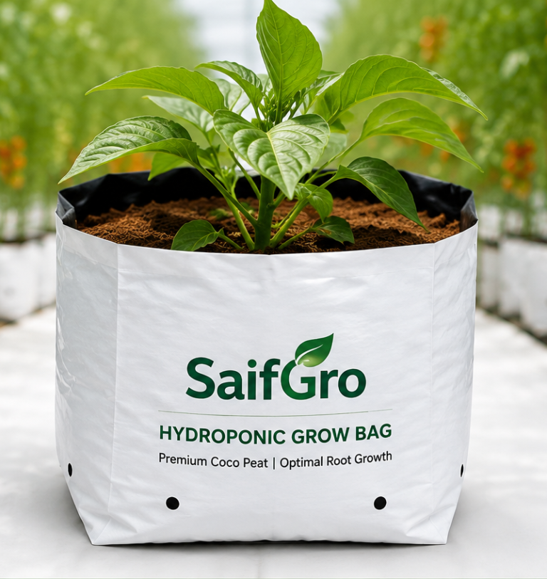 Hydroponic Grow Bag