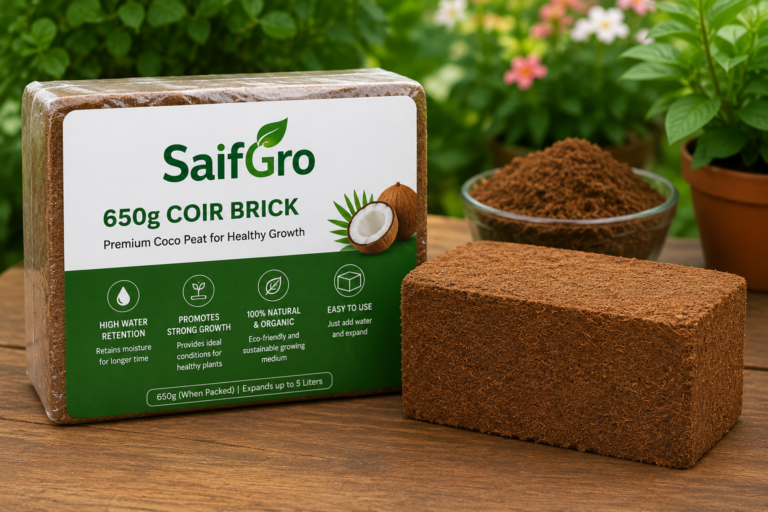 650g Coir Brick